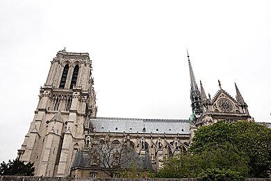 《超级马里奥兄弟：惊奇》想要努力带给玩家惊喜